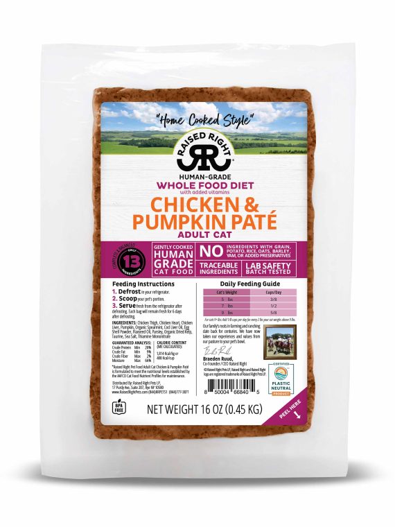 Chicken & Pumpkin Paté for Adult Cats